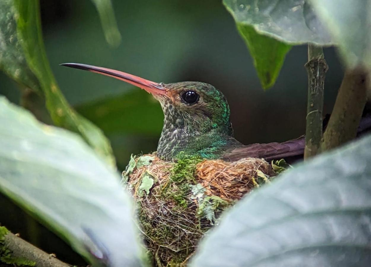 Sendero De Las Aves มินโด ภายนอก รูปภาพ