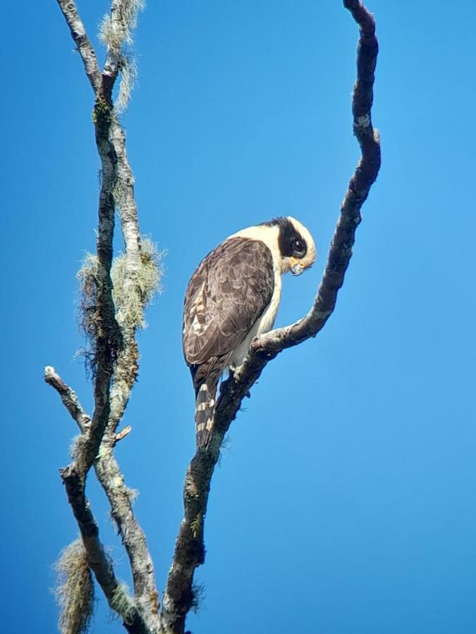Sendero De Las Aves มินโด ภายนอก รูปภาพ