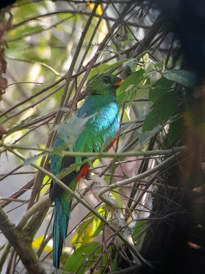 Sendero De Las Aves มินโด ภายนอก รูปภาพ
