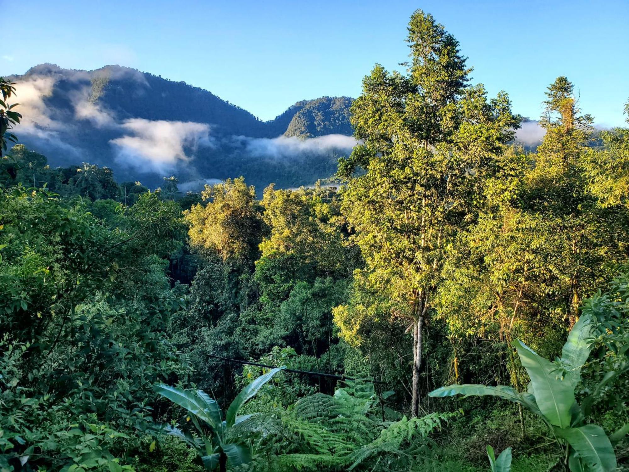 Sendero De Las Aves มินโด ภายนอก รูปภาพ