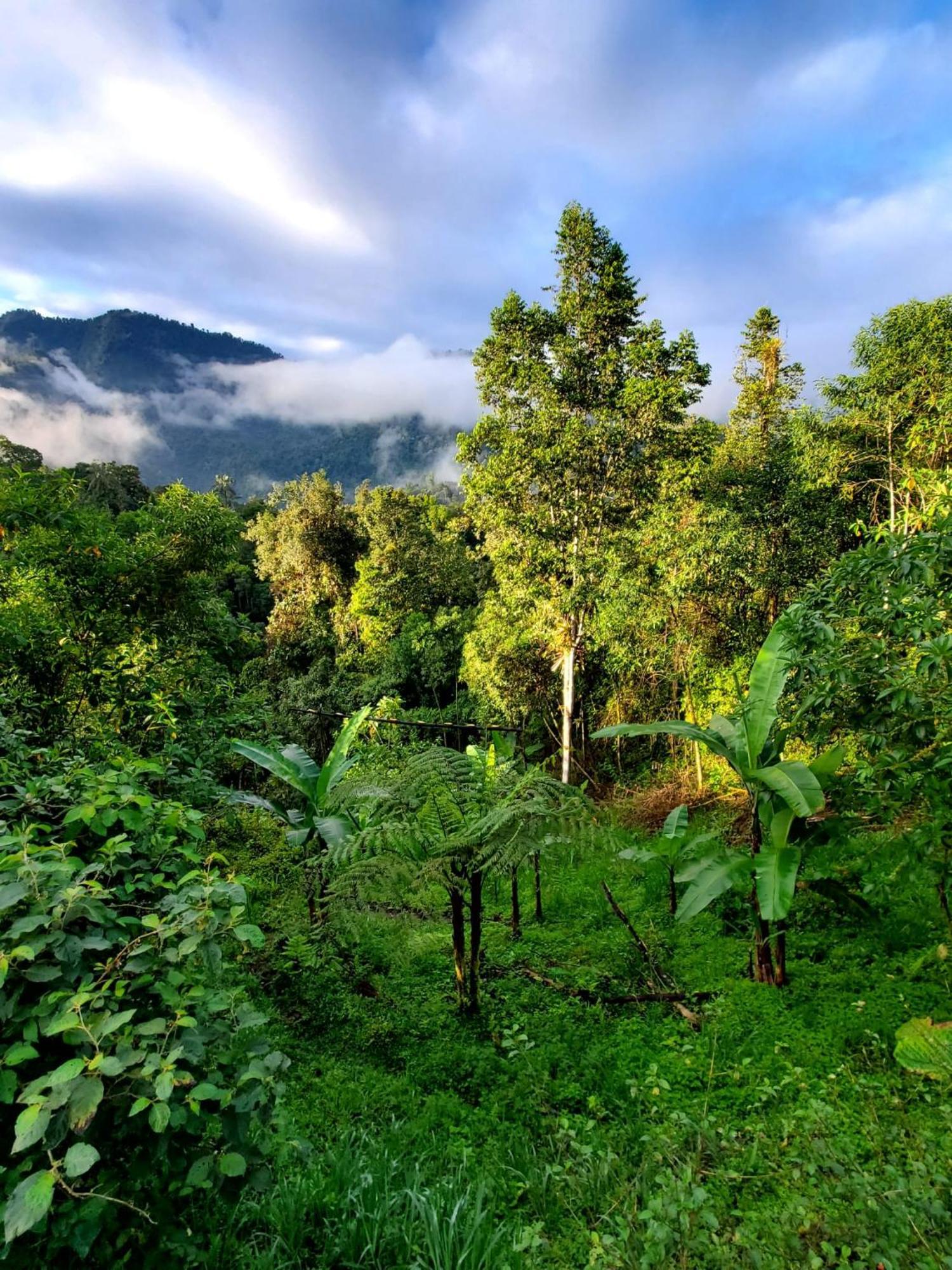 Sendero De Las Aves มินโด ภายนอก รูปภาพ