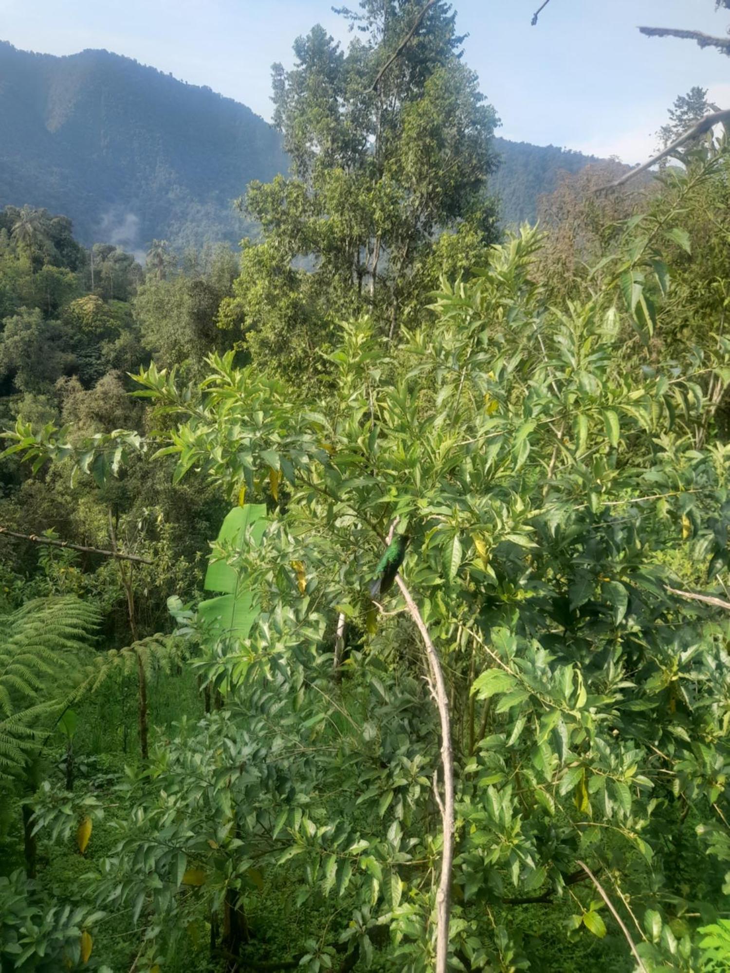 Sendero De Las Aves มินโด ภายนอก รูปภาพ