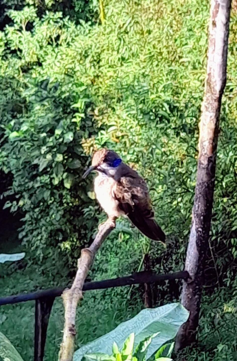 Sendero De Las Aves มินโด ภายนอก รูปภาพ