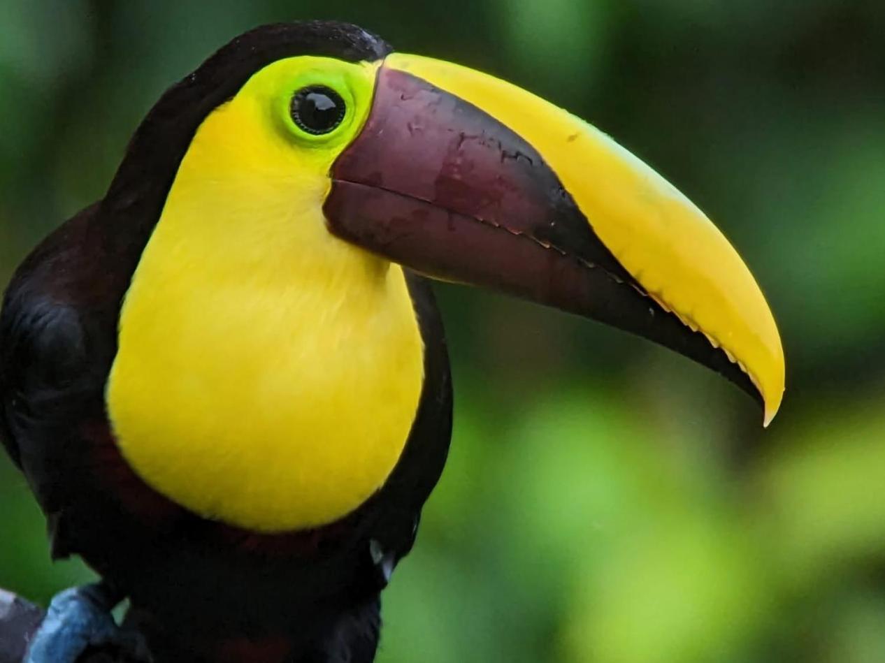 Sendero De Las Aves มินโด ภายนอก รูปภาพ